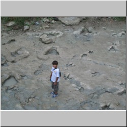 100_0752 (2009-27-07).JPG